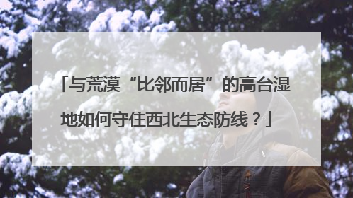 与荒漠“比邻而居”的高台湿地如何守住西北生态防线？