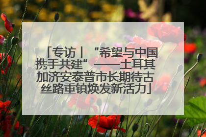 专访丨“希望与中国携手共建”——土耳其加济安泰普市长期待古丝路重镇焕发新活力
