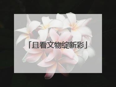 且看文物绽新彩