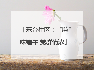 东台社区：“廉”味端午 党群情浓