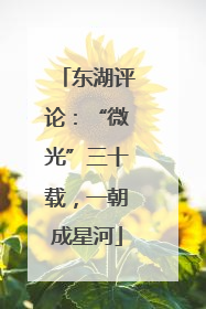东湖评论：“微光”三十载，一朝成星河