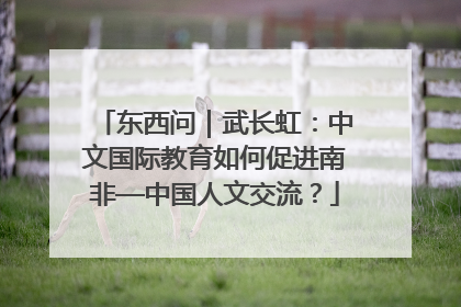 东西问｜武长虹：中文国际教育如何促进南非—中国人文交流？