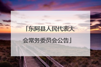 东阿县人民代表大会常务委员会公告