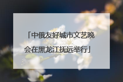 中俄友好城市文艺晚会在黑龙江抚远举行