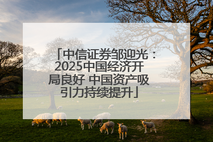 中信证券邹迎光：2025中国经济开局良好 中国资产吸引力持续提升
