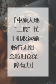中原大地“三夏”忙丨机收运输畅行无阻 金粒归仓保障有力