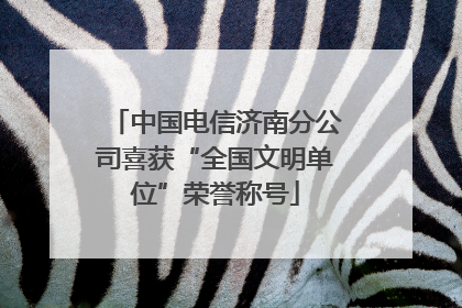 中国电信济南分公司喜获“全国文明单位”荣誉称号