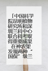 中国科学院昆明植物研究所和深圳兰科中心联合科考取得重要成果 在神农架发现两种“国保”级兰花