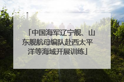 中国海军辽宁舰、山东舰航母编队赴西太平洋等海域开展训练
