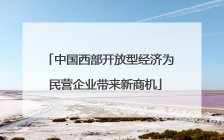 中国西部开放型经济为民营企业带来新商机