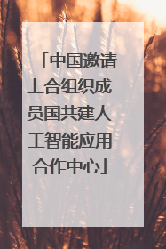 中国邀请上合组织成员国共建人工智能应用合作中心
