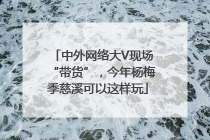 中外网络大V现场“带货”，今年杨梅季慈溪可以这样玩