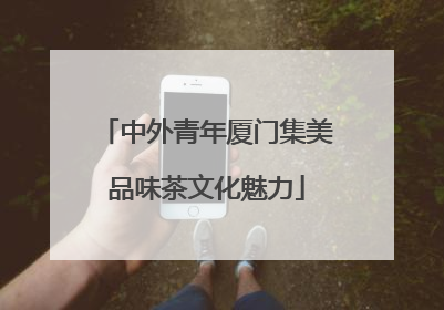 中外青年厦门集美品味茶文化魅力