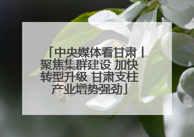 中央媒体看甘肃丨聚焦集群建设 加快转型升级 甘肃支柱产业增势强劲