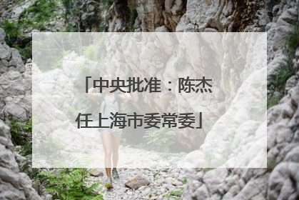 中央批准：陈杰任上海市委常委