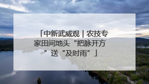 中新武威观｜农技专家田间地头“把脉开方”送“及时雨”