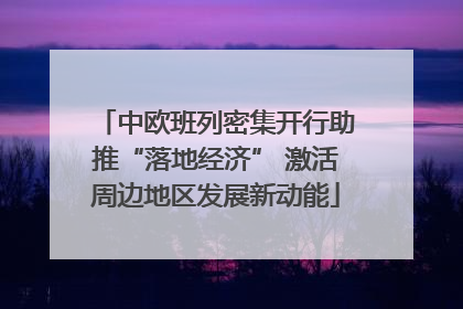 中欧班列密集开行助推“落地经济” 激活周边地区发展新动能