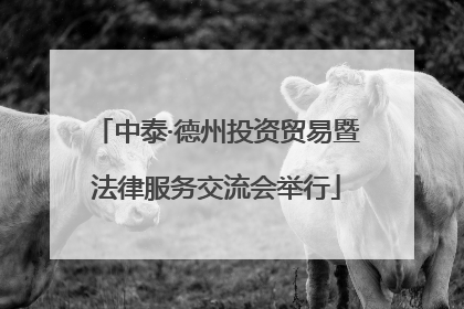 中泰·德州投资贸易暨法律服务交流会举行