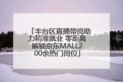 丰台区直播带岗助力精准就业 零距离解锁京东MALL200余热门岗位