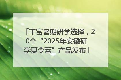 丰富暑期研学选择，20个“2025年安徽研学夏令营”产品发布