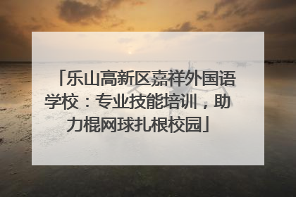 乐山高新区嘉祥外国语学校：专业技能培训，助力棍网球扎根校园
