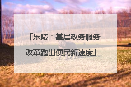 乐陵：基层政务服务改革跑出便民新速度
