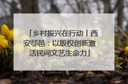 乡村振兴在行动丨西安鄠邑：以版权创新激活民间文艺生命力