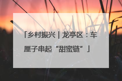乡村振兴｜龙亭区：车厘子串起“甜蜜链”