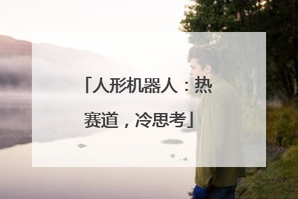 人形机器人：热赛道，冷思考