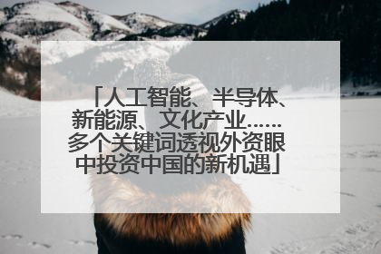 人工智能、半导体、新能源、文化产业……多个关键词透视外资眼中投资中国的新机遇