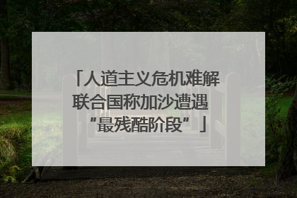 人道主义危机难解 联合国称加沙遭遇“最残酷阶段”