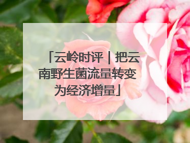 云岭时评｜把云南野生菌流量转变为经济增量