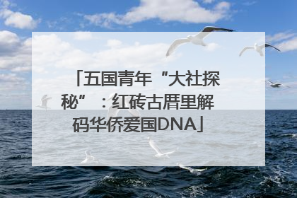五国青年“大社探秘”：红砖古厝里解码华侨爱国DNA