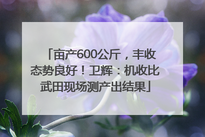 亩产600公斤，丰收态势良好！卫辉：机收比武田现场测产出结果