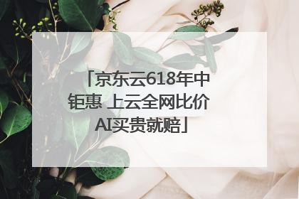 京东云618年中钜惠 上云全网比价 AI买贵就赔