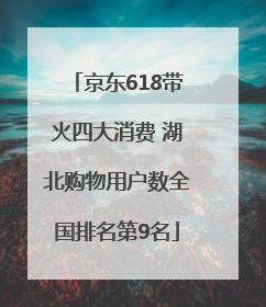 京东618带火四大消费 湖北购物用户数全国排名第9名