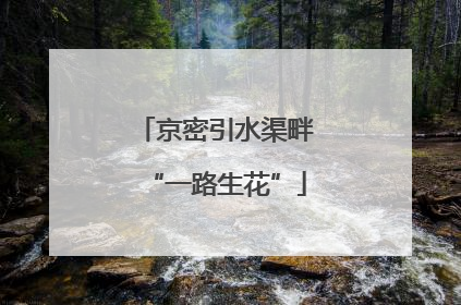 京密引水渠畔“一路生花”
