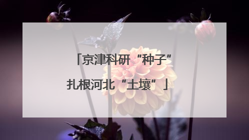 京津科研“种子”扎根河北“土壤”