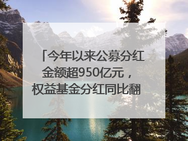 今年以来公募分红金额超950亿元，权益基金分红同比翻倍｜招财猫