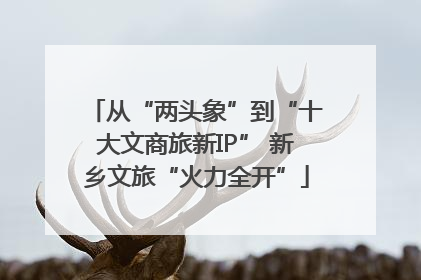 从“两头象”到“十大文商旅新IP” 新乡文旅“火力全开”