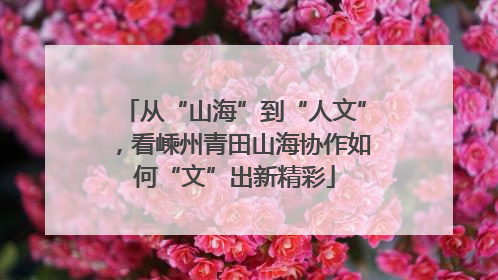 从“山海”到“人文”，看嵊州青田山海协作如何“文”出新精彩
