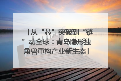 从“芯”突破到“链”动全球：青岛隐形独角兽重构产业新生态