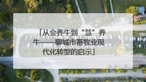 从会养牛到“慧”养牛——聊城市畜牧业现代化转型的启示