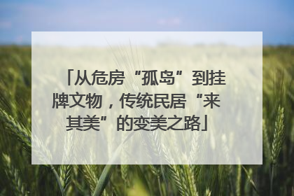 从危房“孤岛”到挂牌文物，传统民居“来其美”的变美之路