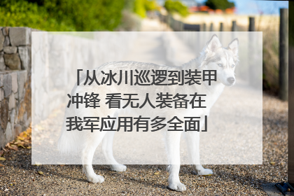 从冰川巡逻到装甲冲锋 看无人装备在我军应用有多全面