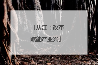 从江：改革赋能产业兴