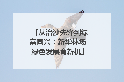 从治沙先锋到绿富同兴：新华林场绿色发展育新机