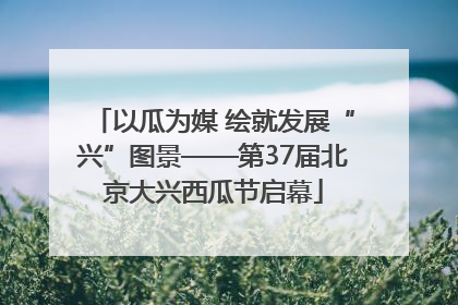 以瓜为媒 绘就发展“兴”图景——第37届北京大兴西瓜节启幕