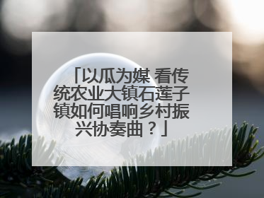 以瓜为媒 看传统农业大镇石莲子镇如何唱响乡村振兴协奏曲？