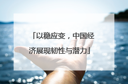 以稳应变，中国经济展现韧性与潜力